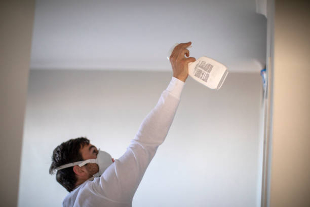 Best Certified Mold Removal  in Seymour, TN