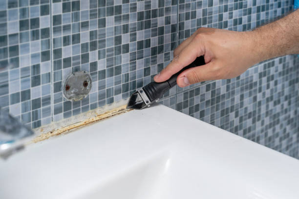 Best Same-Day Mold Removal  in Seymour, TN